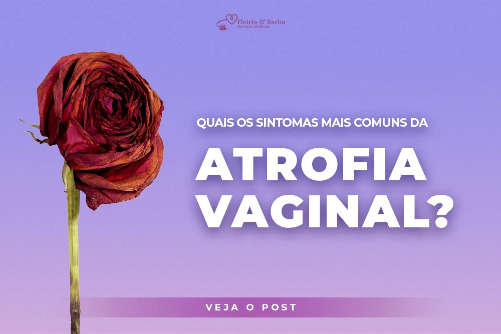 Imagem d euma rosa murcha em fundo roxo