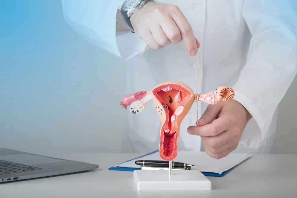 Médico apontando para modelo ilustrativo de útero.