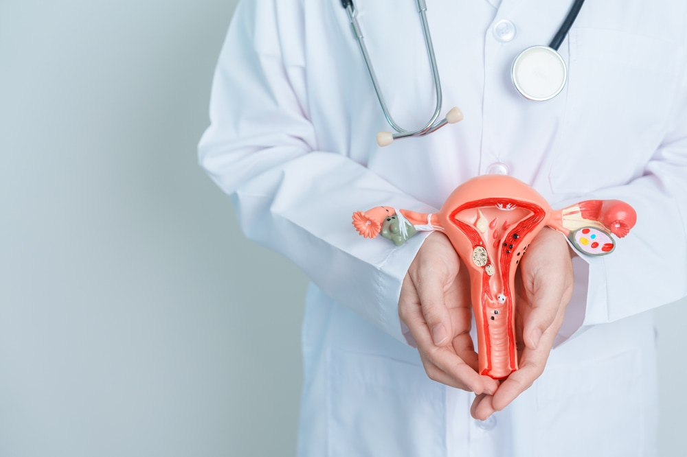 Médico segurando modelo de sistema reprodutor feminino
