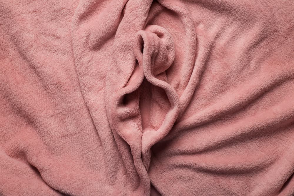 Tecido macio rosa em forma de órgãos genitais femininos, lábios vaginais abertos